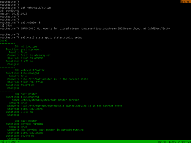 Рисунок 12 – Запуск службы миньона на синдике