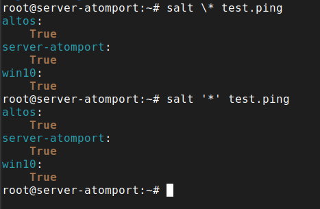 salt '*' test.ping