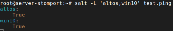 salt -L 'altos,win10' test.ping
Указанная команда выведет следующую информацию: