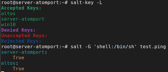 salt -G 'shell:/bin/bash' test.ping