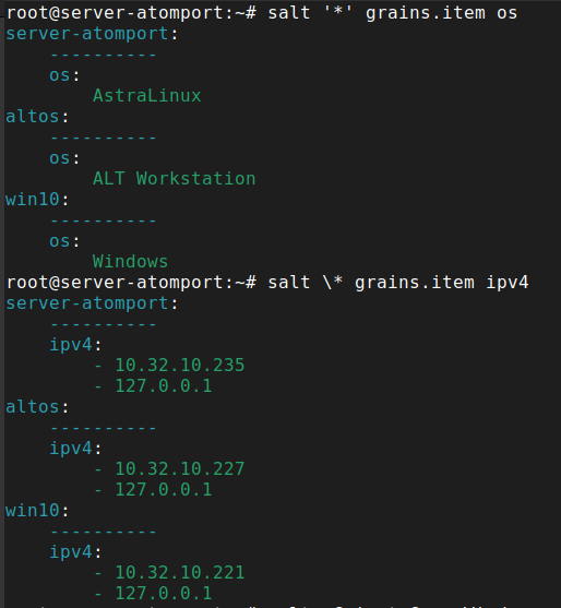 2 grains’а для определения миньона. Возьмем os и ipv4