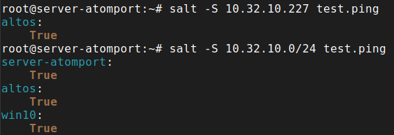 При выполнении команд
salt -S 10.32.10.227 test.ping
salt -S 10.32.10.0/24 test.ping
будет выведена следующая информация:
